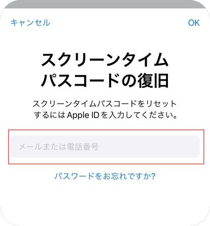 Apple IDとパスワードを入力